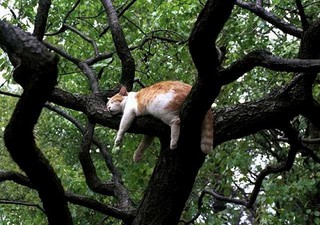 20100825_2000226.jpg